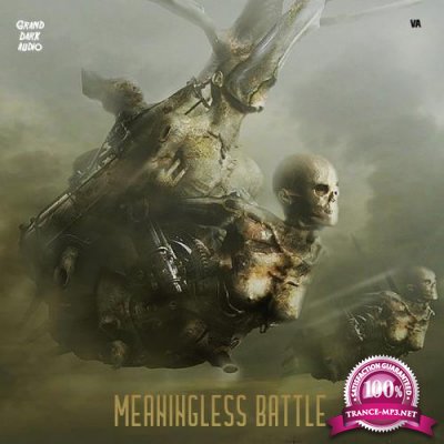 Meaningless Battle (2020)