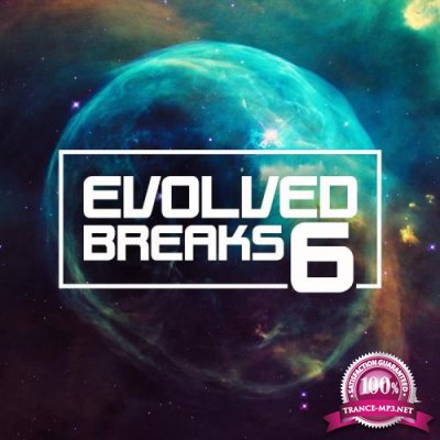 Evolved Breaks 6 (2020) 