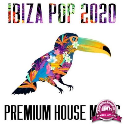 Ibiza Pop 2020 - Premium House Music (2020)