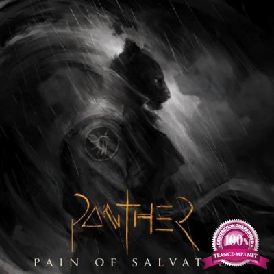 Pain Of Salvation - PANTHER (2020)