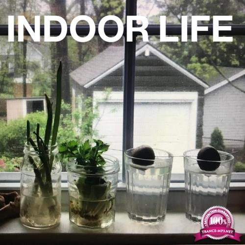 Mike Simonetti - Indoor Life (2020)