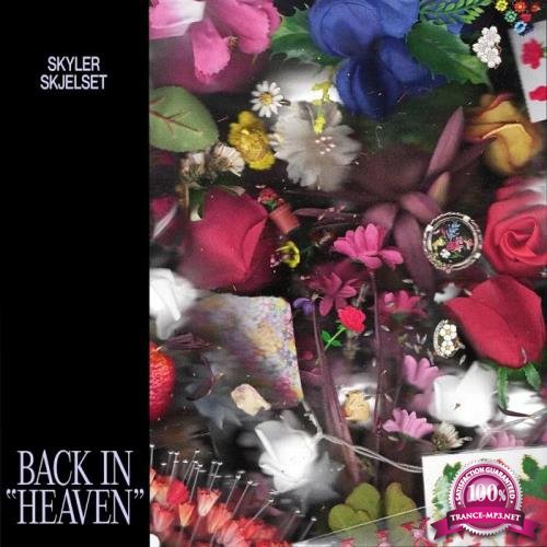 Skyler Skjelset - Back in Heaven (2020)
