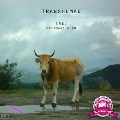 U96 & Wolfgang Fluer - Transhuman (2020)