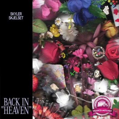 Skyler Skjelset - Back in Heaven (2020)