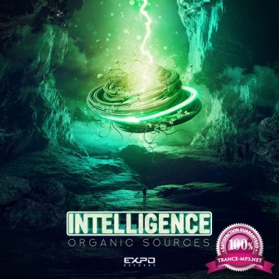 Intelligence - Organic Sources (Single) (2020)
