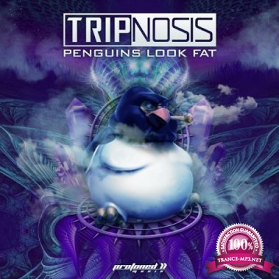 Tripnosis - Penguins Look Fat (Single) (2020)