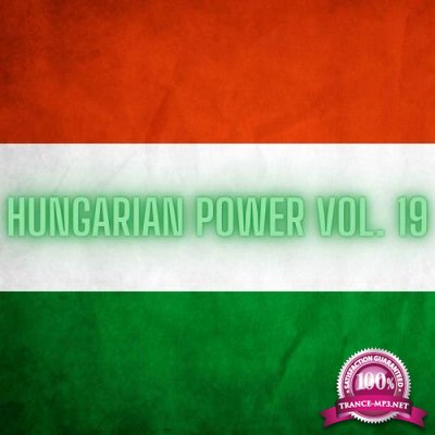 Hungarian Power Vol. 19 (2020)