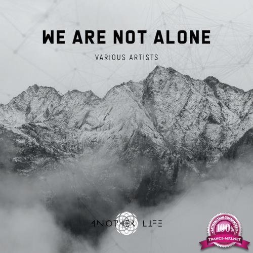 Another Life Music: We Are Not Alone (2020)
