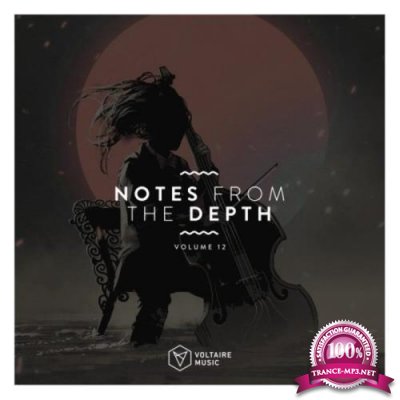 Notes From The Depth, Vol. 12 (2020)