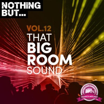 Nothing But... That Big Room Sound Vol 12 (2020) 