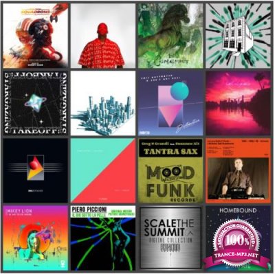 Beatport Music Releases Pack 2311 (2020)