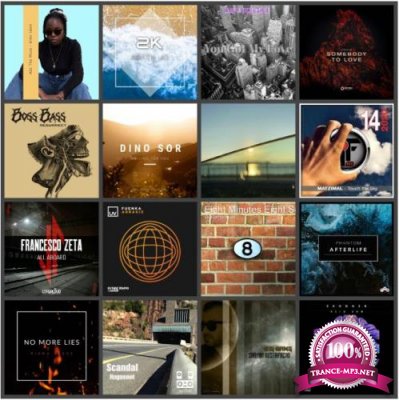 Beatport Music Releases Pack 2313 (2020)