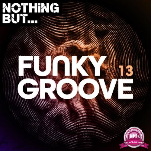Nothing But... Funky Groove Vol 13 (2020)