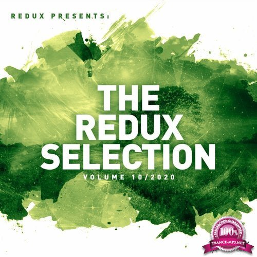 Redux Selection Vol 10 / 2020 (2020)