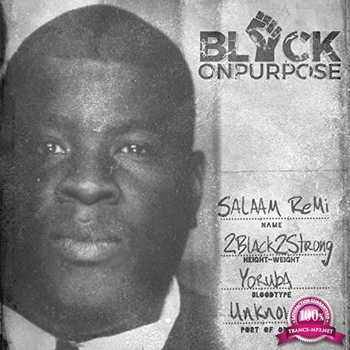Salaam Remi - Black On Purpos (2020)