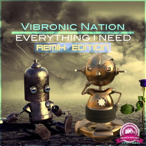 Vibronic Nation - Everything I Need (Remix Edition) (2020)