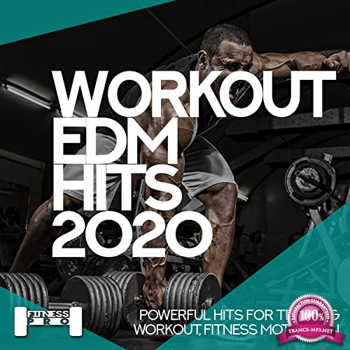 Workout EDM Hits 2020 (2020) 