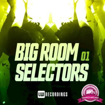 Big Room Selectors 01 (2020)