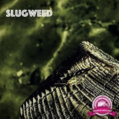 SlugWeed - Internal (2020)