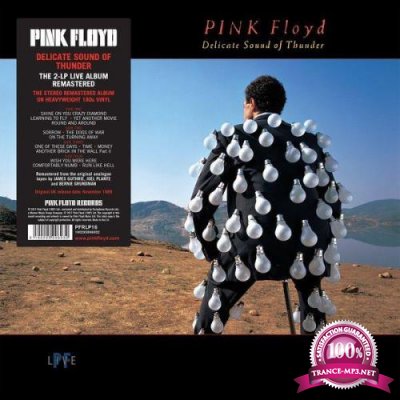 Pink Floyd - Delicate Sound Of Thunder (2020) FLAC