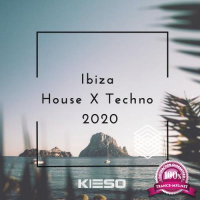 Ibiza House X Techno 2020 (2020)