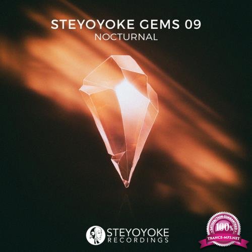 Steyoyoke Gems Nocturnal 09 (2020) FLAC