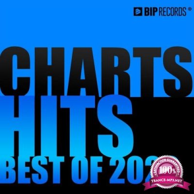 Chart Hits: Best of 2020 (2020)