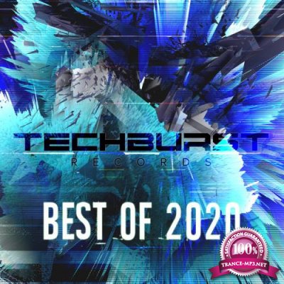 Techburst Records Best Of 2020 (2021)