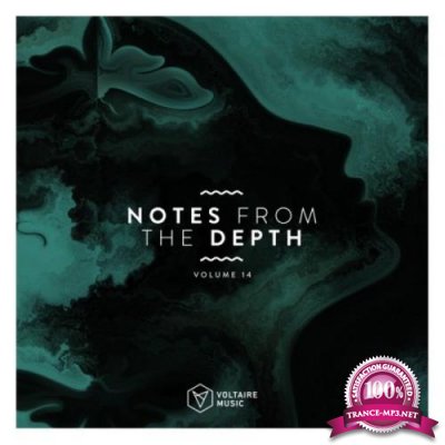 Notes From The Depth, Vol. 14 (2020)