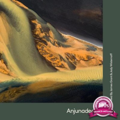 Anjunadeep 12 (Mixed by James Grant & Jody Wisternoff) [CD1] (2021) FLAC