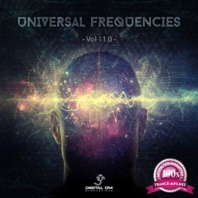 VA - Universal Frequencies Vol.11 (2021)