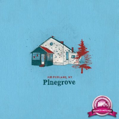 Pinegrove - Amperland, NY (2021)