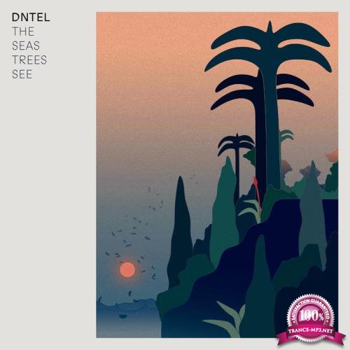 Dntel - The Seas Trees See (2021)