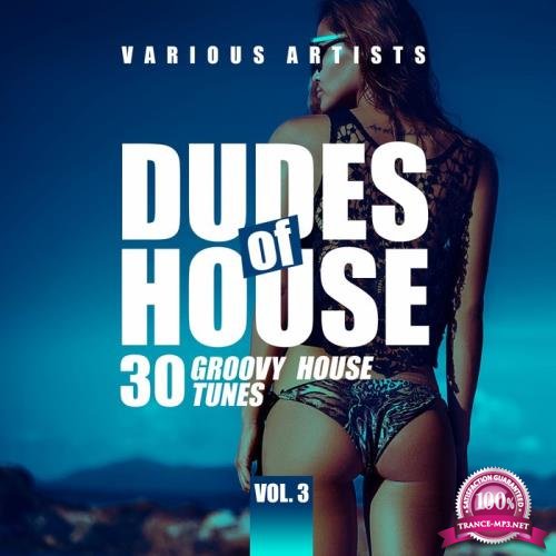 Dudes Of House (30 Groovy House Tunes), Vol. 3 (2021)
