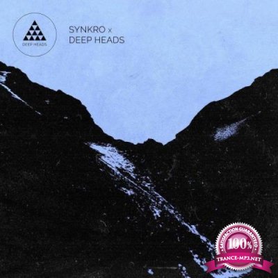 Synkro - Synkro X Deep Heads (2021)