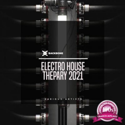 Electro House Thepary 2021 (2021)