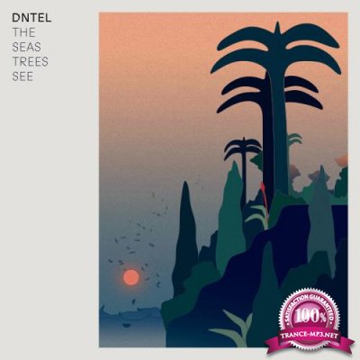Dntel - The Seas Trees See (2021)