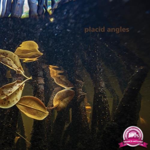 Placid Angles - Touch The Earth (2021)