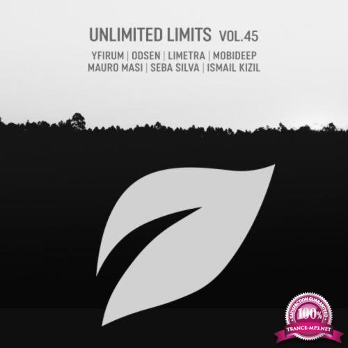 Unlimited Limits, Vol. 45 (2021)