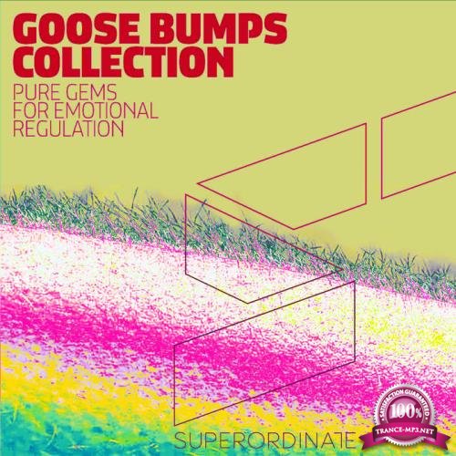 Goose Bumps Collection, Vol. 5 (2021)