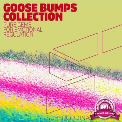 Goose Bumps Collection, Vol. 5 (2021)