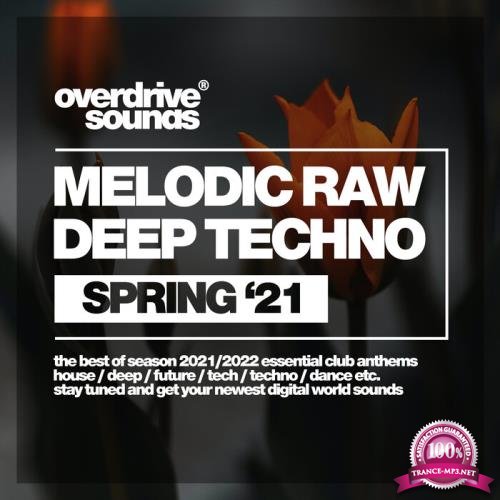 Melodic Raw Deep Techno (Spring '21) (2021) FLAC