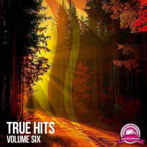 SUANDA TRUE: True Hits Vol 6 (2021) FLAC