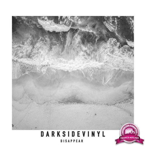 Darksidevinyl - Disappear (2021)