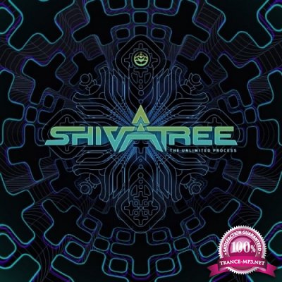 Shivatree - The Unlimited Process (2021)