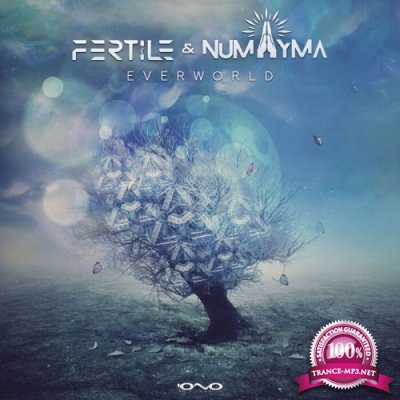 Fertile & Numayma - Everworld (Single) (2021)