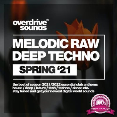 Melodic Raw Deep Techno (Spring '21) (2021) FLAC