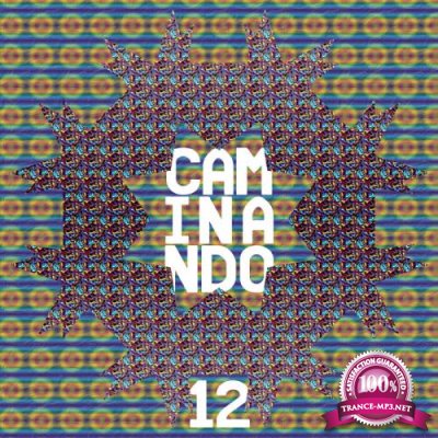 Flower Power - Caminando 12 (2021)