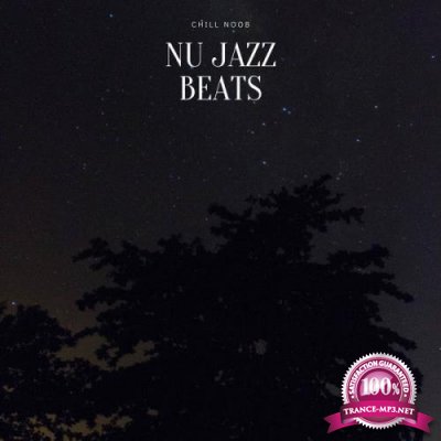 Chill Noob - Nu Jazz Beats (2021)