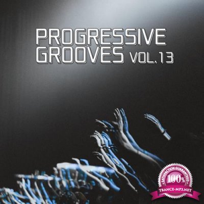 Progressive Grooves Vol 13 (2021)